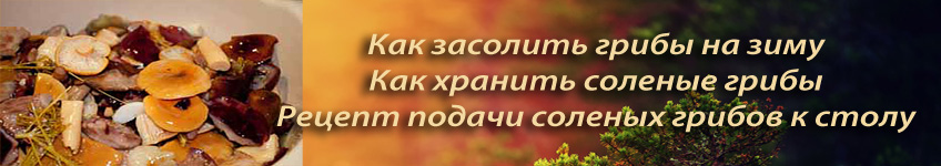 Рецепт соленых грибов, как засолить грибы